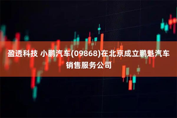 盈透科技 小鹏汽车(09868)在北京成立鹏魁汽车销售服务公司