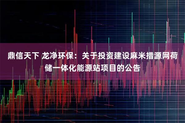 鼎信天下 龙净环保：关于投资建设麻米措源网荷储一体化能源站项目的公告