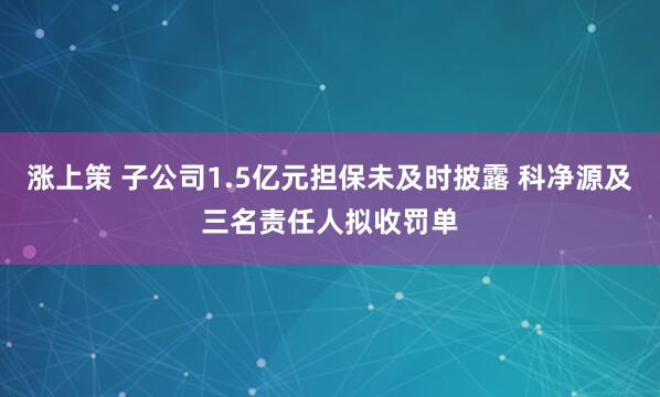 涨上策 子公司1.5亿元担保未及时披露 科净源及三名责任人拟收罚单