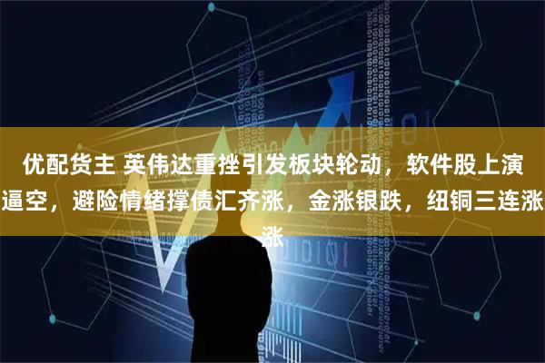 优配货主 英伟达重挫引发板块轮动，软件股上演逼空，避险情绪撑债汇齐涨，金涨银跌，纽铜三连涨