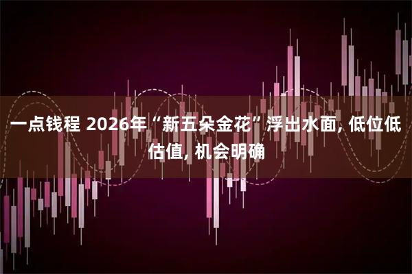 一点钱程 2026年“新五朵金花”浮出水面, 低位低估值, 机会明确
