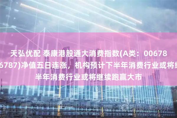 天弘优配 泰康港股通大消费指数(A类:006786;C类:006787)净值五日连涨,机构预计下半年消费行业或将继续跑赢大市